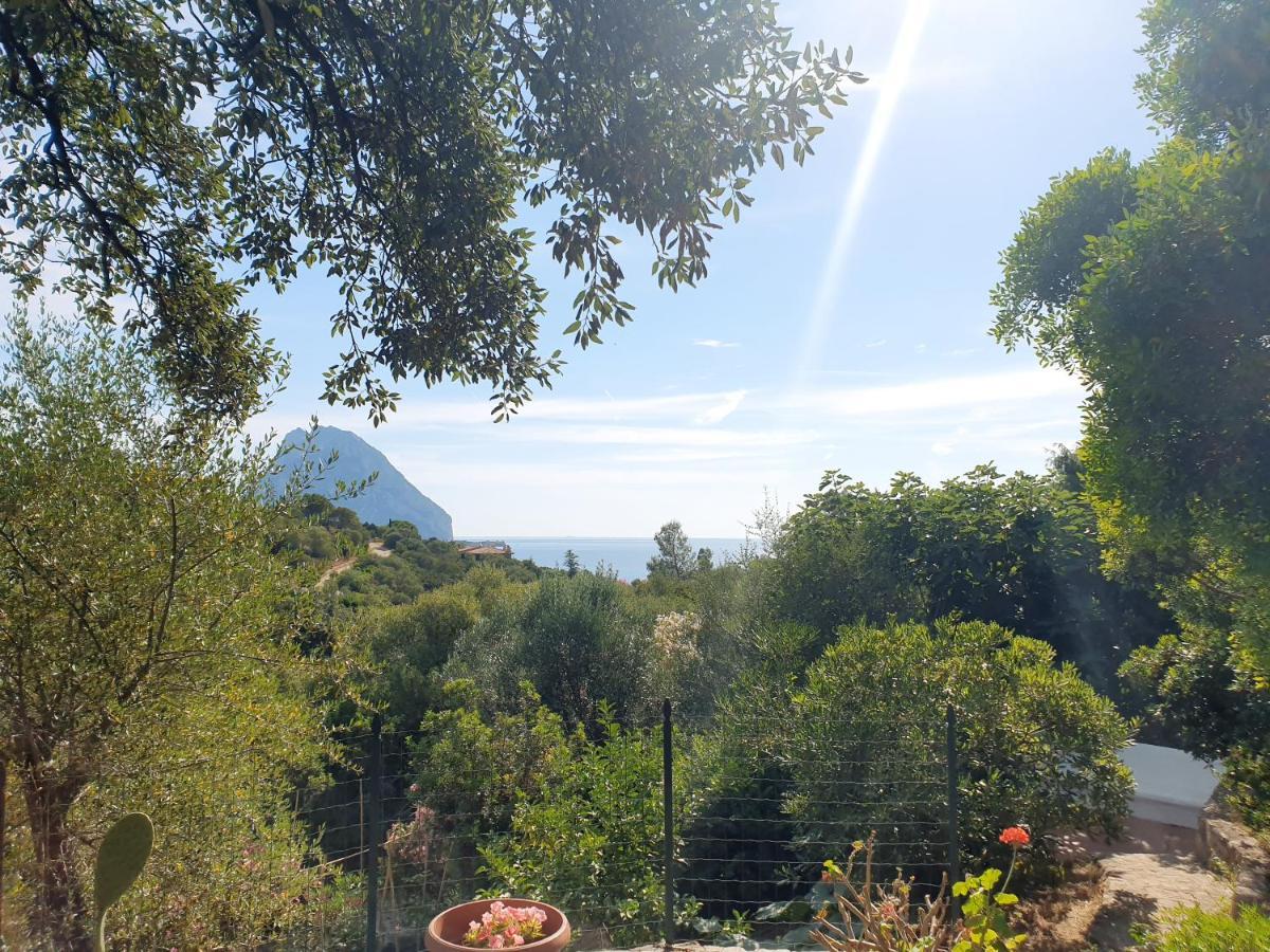 Appartamento Vasiliki Porto San Paolo  Exterior photo